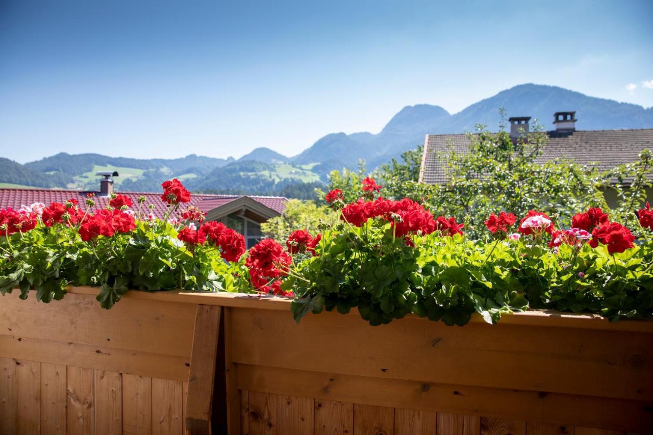 Haus Sylvia Apartment Reith im Alpbachtal Ngoại thất bức ảnh