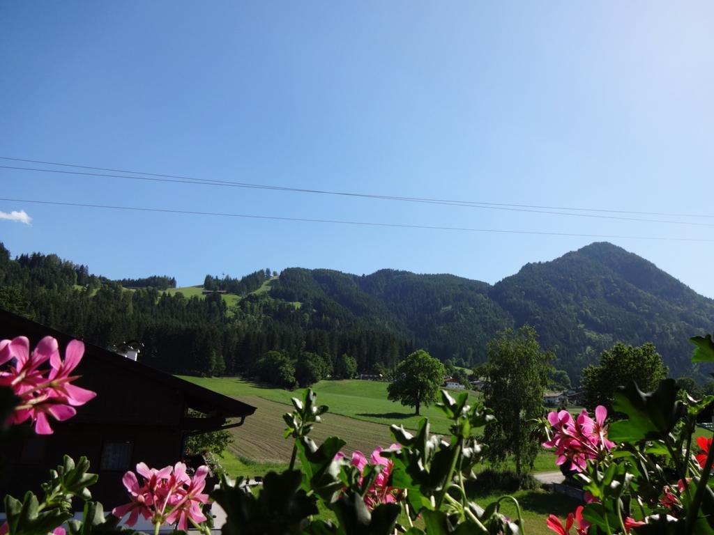 Haus Sylvia Apartment Reith im Alpbachtal Phòng bức ảnh